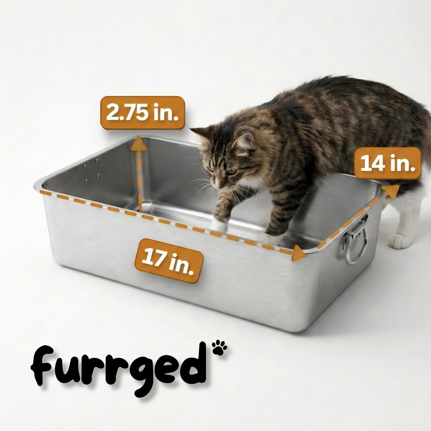 PurrSteel™